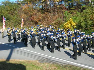 Download Veteran's Day Parade (375Wx281H)